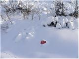 Koča pri Savici - Planina Lopučnica